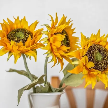 Sunflower Europa Apartment